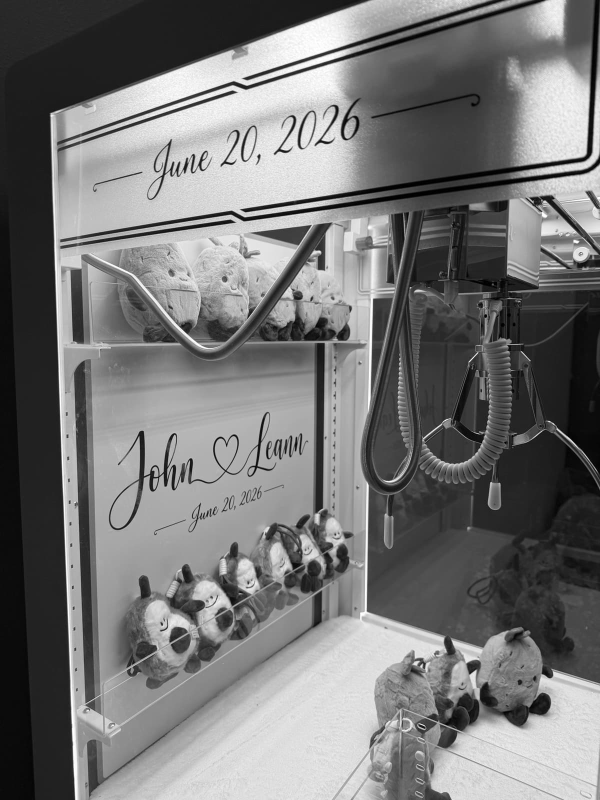 Wedding claw machine interior with the couple's names on the backdrop and their date on the header decal